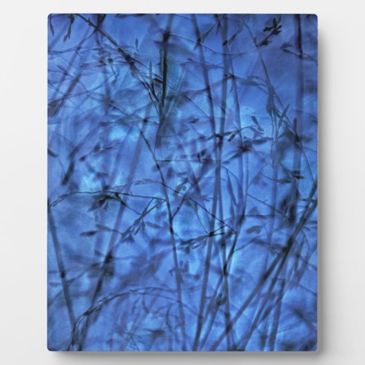 Indigo Plantscape Fotoplatte (Vorderseite)