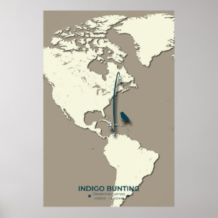 Indigo-Rangiermigrationskarte - Minimalistisch Vin Poster