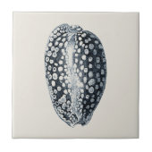 Indigo Seashell Fliese (Vorderseite)