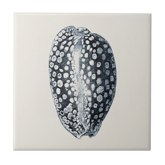 Indigo Seashell Fliese (Vorderseite)