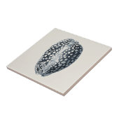 Indigo Seashell Fliese (Seite)