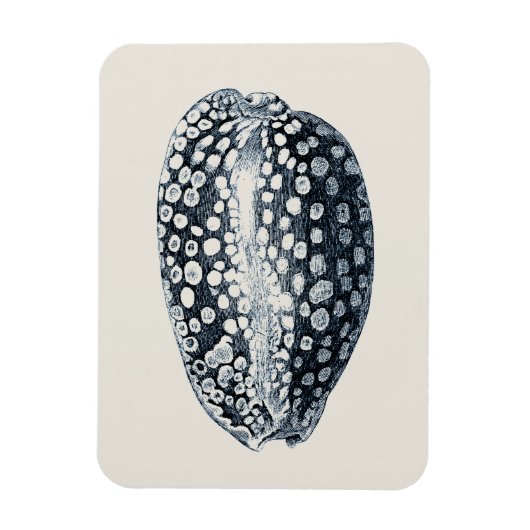 Indigo Seashell Magnet (Vertikal)