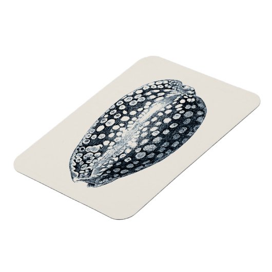 Indigo Seashell Magnet (Linke Seite)