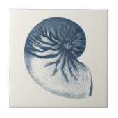 Indigo Shark Eye Seashell Fliese (Vorderseite)