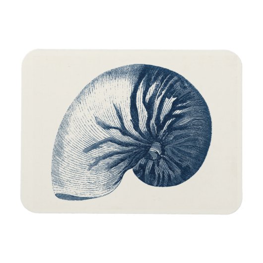 Indigo Shark Eye Seashell Magnet (Horizontal)