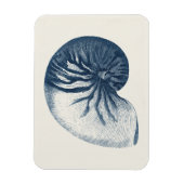 Indigo Shark Eye Seashell Magnet (Vertikal)