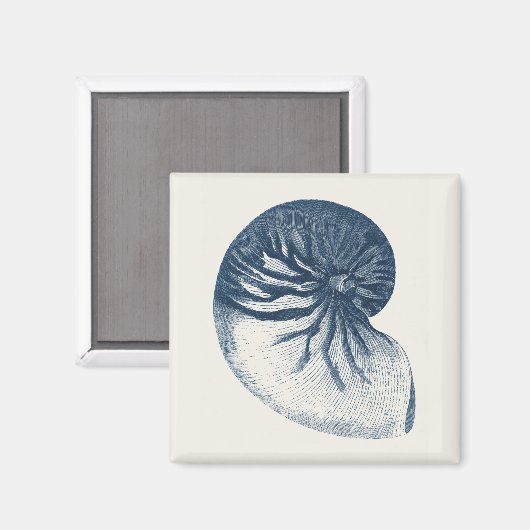 Indigo Shark Eye Seashell Magnet (Vorderseite/Rückseite)