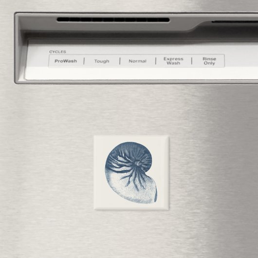 Indigo Shark Eye Seashell Magnet (In Situ (Geschirrspüler))