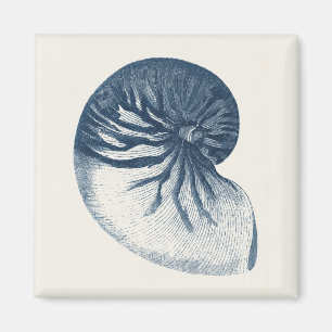 Indigo Shark Eye Seashell Magnet
