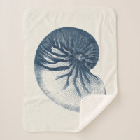 Indigo Shark Eye Seashell