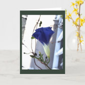 Indigo Swirl Morning Glory Blank Karte (Gelbe Blume)