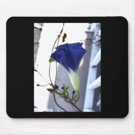 Indigo Swirl Morning Glory Mousepad
