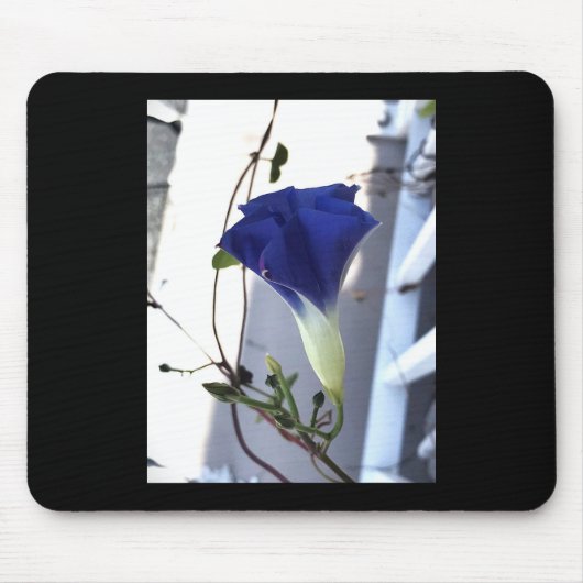 Indigo Swirl Morning Glory Mousepad (Vorne)
