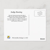 Indigoammer Postkarte (Rückseite)