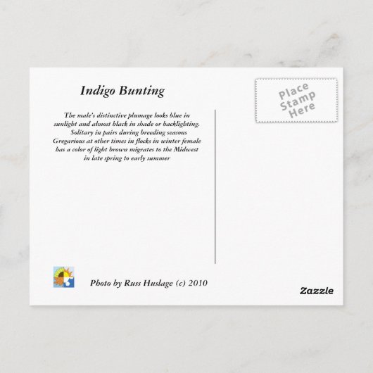 Indigoammer Postkarte (Rückseite)