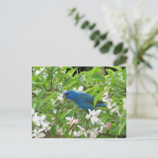 Indigobock und -blüten - Vogel Postkarte (Stehend Vorderseite)