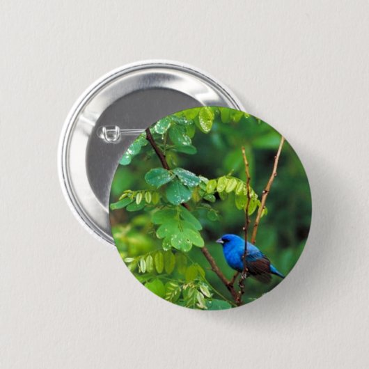 Indigoflagge Button (Vorne & Hinten)