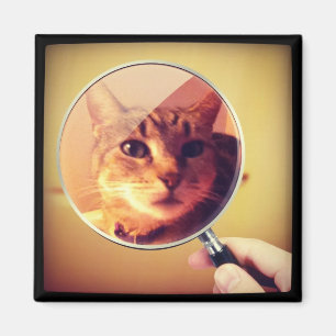 Indigoglass Magnet