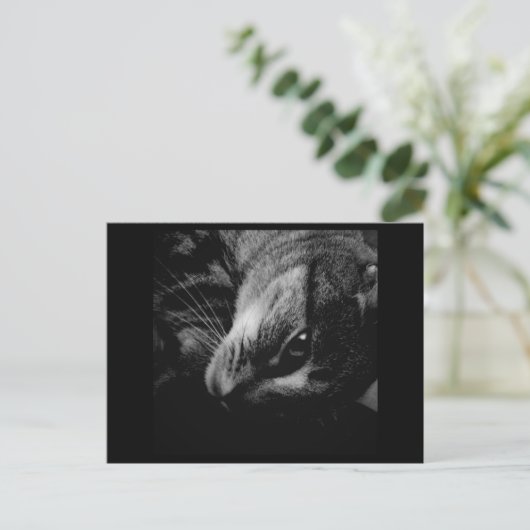 Indigo's Black & White Ad Postkarte (Stehend Vorderseite)