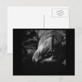 Indigo's Black & White Ad Postkarte (Vorne/Hinten)