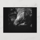 Indigo's Black & White Ad Postkarte (Vorderseite)