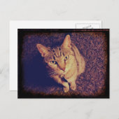 Indigos Forderung Postkarte (Vorne/Hinten)