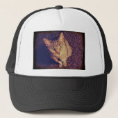 Indigos Forderung Truckerkappe (Vorderseite)