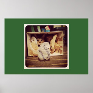 Indigo's Secret Hideout Poster