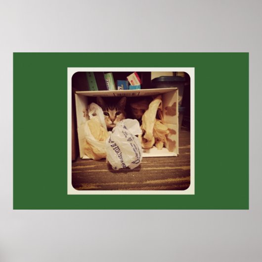 Indigo's Secret Hideout Poster (Vorne)