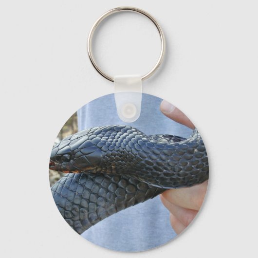 Indigoschlange (Drymarchon corais couperi) Schlüsselanhänger (Vorderseite)