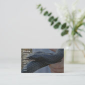 Indigoschlange (Drymarchon corais couperi) Visitenkarte (Stehend Vorderseite)