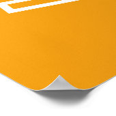 Indira Gandhi International Airport DEL Poster (Ecke)