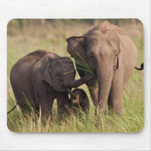 Indische asiatische Elefantenfamilie in der Savann Mousepad
