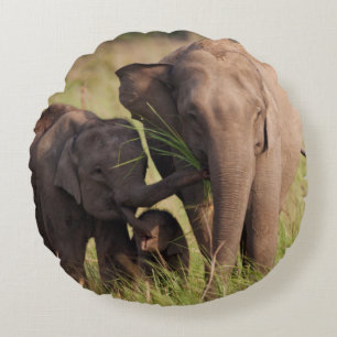 Indische Asiatische Elefantenfamilie in der Savann Rundes Kissen