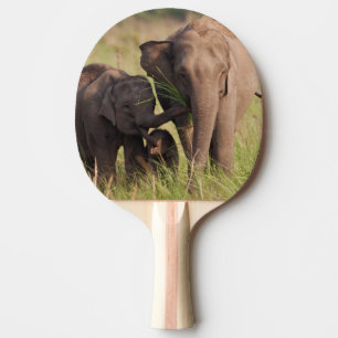 Indische Asiatische Elefantenfamilie in der Savann Tischtennis Schläger