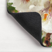 Indische Bean Tree Blume Mouse Mat Mousepad (Ecke)