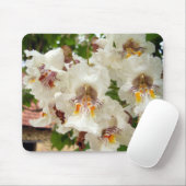 Indische Bean Tree Blume Mouse Mat Mousepad (Mit Mouse)