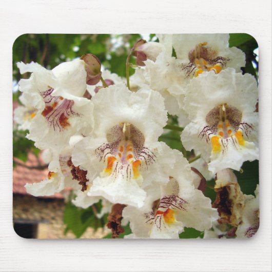 Indische Bean Tree Blume Mouse Mat Mousepad (Vorne)
