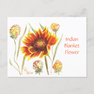 Indische Blanket-Blume Postkarte