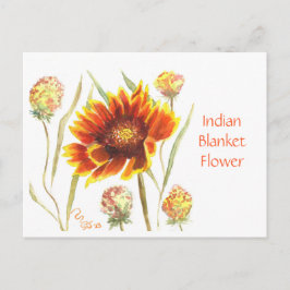 Indische Blanket-Blume Postkarte