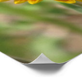 Indische Blanket-Wildblumen Poster (Ecke)