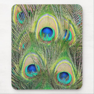 Indische blaue Pfau-Federn Mousepad