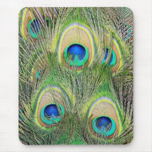 Indische blaue Pfau-Federn Mousepad (Vorne)