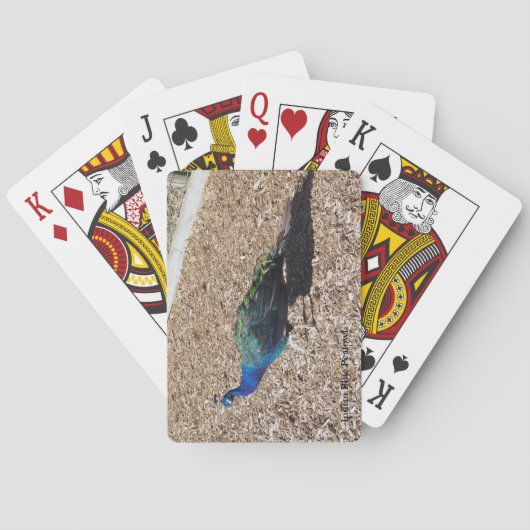Indische Blaue Pfauen spielen Karten Spielkarten (Rückseite)