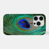 Indische Blaue Pfauenfeder iPhone Hülle (Rückseite (Horizontal))