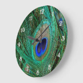 Indische Blaupfauenfresser Große Wanduhr (Winkel)