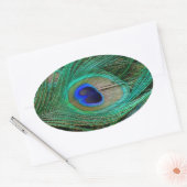 Indische Blaupfauenfresser Ovaler Aufkleber (Umschlag)