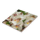 Indische Bohnen-Baum-Blumen-Keramik-Foto-Fliese Fliese (Seite)