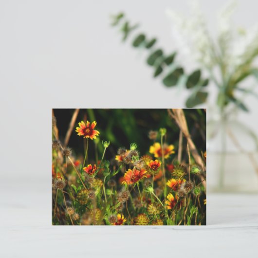 Indische Decken Postkarte (Stehend Vorderseite)