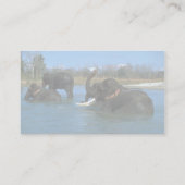 Indische Elefanten, die sich, badend hinlegen Visitenkarte (Rückseite)